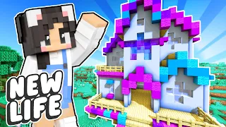 💜A NEW World! Minecraft New Life SMP #1