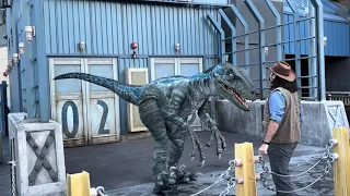 Raptor Encounter Spring Break 2024 | Blue is coming for another show! | Universal Studios Hollywood
