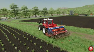 Seeding soybeans | Haut-Beyleron | EP2 | FS22 | timelapse | seasons