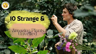 Botanical Bonanza: 10 Weird & Wonderful Plants Revealed! 🌿🔍 || Daily Decipher