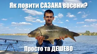 Як ловити САЗАНА восени? Дешевий і уловистий спосіб. Трофейна риболовля на річці Дністер 2023