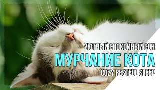 Мурчание кота. Мурлыкающий кот для сна и Здоровья. Purring cat for sleep and health.