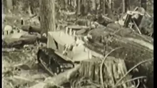 Allison Logging - Coastal Logging in the early 20th Century