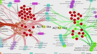 Researchers uncover new COVID-19 theories