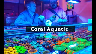 We tour Tokyo's best saltwater aquarium store! Coral Aquatic