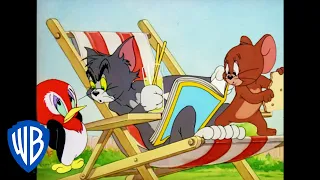 Tom & Jerry | Jerry and the Baby Woodpecker | Classic Cartoon | WB Kids