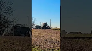 This Jersey Girl Is SHOCKED At How Soy Is Harvested For Her Beloved Soy Latte. #mennonite