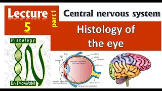 5a-Histology of Eye part 1-External and middle coats of the eye-CNS