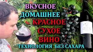 КРАСНОЕ СУХОЕ ВИНО ИЗ ВИНОГРАДА. РЕЦЕПТ ОТ ВИНОДЕЛОВ, ВИНО БЕЗ САХАРА