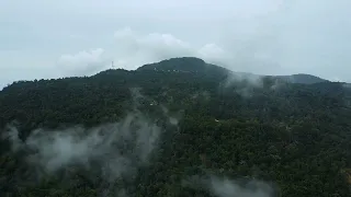 Gunung Jerai, Kedah. (DRONE VIEW)