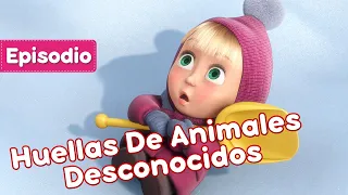 Masha y el Oso Castellano 💥 Huellas De Animales Desconocidos (Episodio 4) 🐾Masha and the Bear