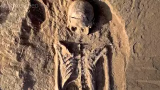 Evidence of a prehistoric massacre extends the history of warfare