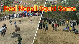Real Nepali squid game | Traditional game in Nepal | Mountain life | amazing life in village | Muga