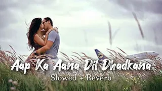 Aap ka aana dil dhadkaana song/ slowed+reverb / Alka Yagnik best song ❤️Reverb World