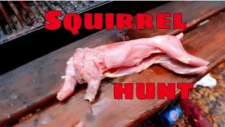 How to hunt Squirrel - CATCH CLEAN AND COOK