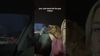 Dog is upset that dad went into the gas station!