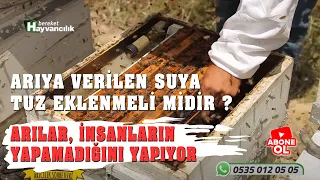 Arıcılık Sohbetleri - 12. Bölüm Arıya Verilen Suya Tuz Eklenmeli Midir ?