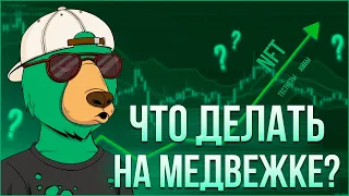 Что делать на медвежьем рынке в криптовалюте? NFT, Тестнеты, Амбассадорки