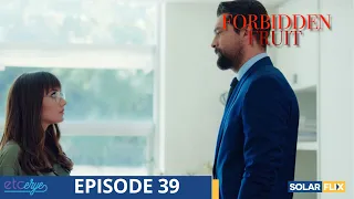 Forbidden Fruit Episode 39 | FULL EPISODE | TAGALOG DUB | Turkish Drama