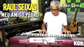 Raul Seixas Meu amigo Pedro Karaokê com Fran Lima