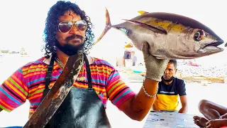 Tuna Fish Cutting | Fish Cutting Skills Sri Lanka