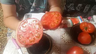 Дегустация томатов Севрюга,Сарра,Пинк парадайс 🍅🍅🍅