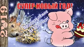 С НОВЫМ ГОДОМ ! Новый год Свиньи (Кабана) поздравления от белочки !