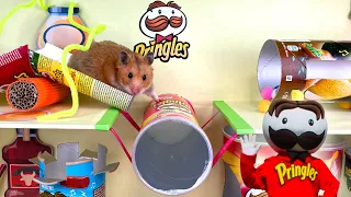 Hamster Pringles Maze | DIY Obstacle Course