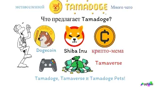 Tamadoge: мем-криптовалюта, размещенная на блокчейне Ethereum