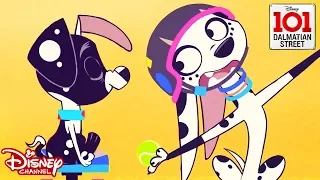 Yoga Pups 🧘🏽‍♀️| 101 Dalmatian Street | Disney Channel Africa