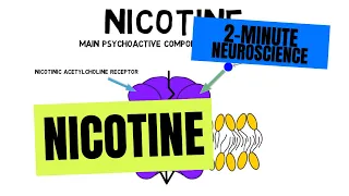 2-Minute Neuroscience: Nicotine