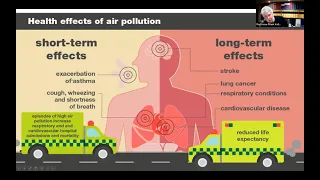 Air Pollution and Public Health: how is the UK doing outside the EU?