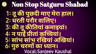 Non Stop 133~Satguru Shabad Sangreh || Beautiful Heart Touching Shabad By Nirgun Shabad Sansaar