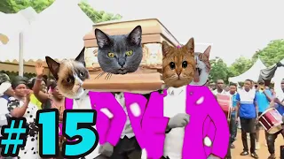 Coffin Dance Meme: Dog and Cat Meme Compilation 2021 #15