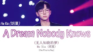 Hu Xia (胡夏) - A Dream Nobody Knows (无人知晓的梦) Unrequited Love OST (暗恋橘生淮南 电视原声大碟 OST) [CHN/PINYIN/ENG]