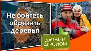 Наверное самое простое видео про обрезку сада! Правила обрезки плодовых деревьев для начинающих