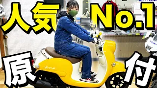 【バイク紹介】ビーノはなぜこんなに人気なのか？その意外すぎる理由とは。