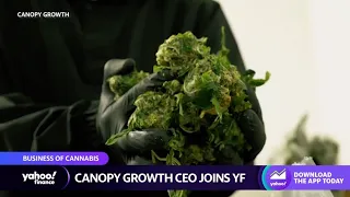 Weed legalization: 'We need the federal government to catch up,' Canopy CEO says