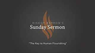 The Key to Human Flourishing — Bishop Barron’s Sunday Sermon