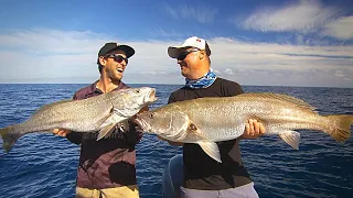 IFISH - Mulloway Madness!