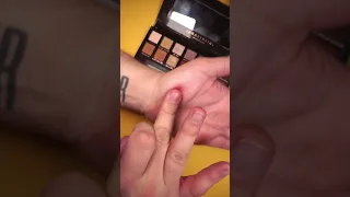 Swatching Anastasia Beverly Hills Modern Renaissance