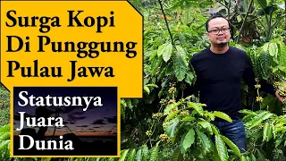 Surga Kopi di Punggung Pulau Jawa - Kopi Temanggung