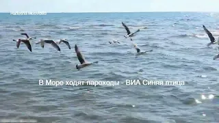 ВИА Синяя птица - В море ходят пароходы - песня со смыслом в прекрасном исполнении Сергея Дроздова