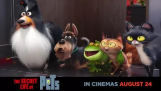 Find out #TheSecretLifeOfPets in cinemas AUGUST 24