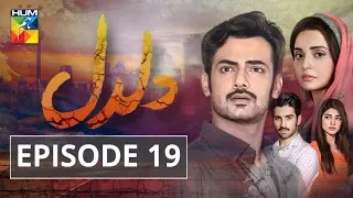 Daldal Episode #19 HUM TV Drama