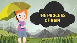 The Process of Rain || Contoh Explanation Text