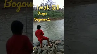 Mancing Ikan Sili