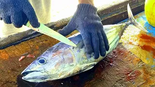 TUNA FISH CUTTING IN MALDIVES | Amazing Tuna Cutting Skills | Maldives Street Food