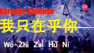 KARAOKE REMIX 我只在乎你 l Wo Zhi Zai Hu Ni l Viet Hoa Karaoke