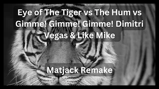 Eye of The Tiger vs The Hum vs Gimme! Gimme! Gimme! Dimitri Vegas & Like Mike (DJ Julsen Remake)